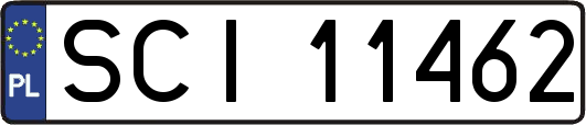 SCI11462