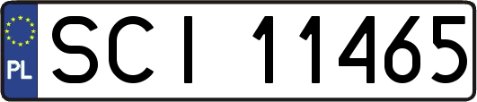 SCI11465