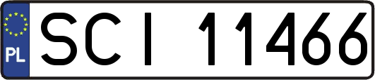 SCI11466