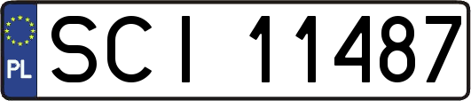 SCI11487