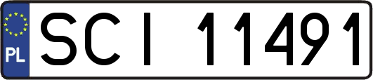 SCI11491