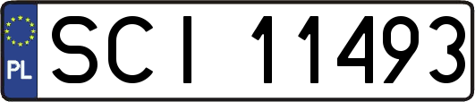 SCI11493