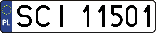 SCI11501