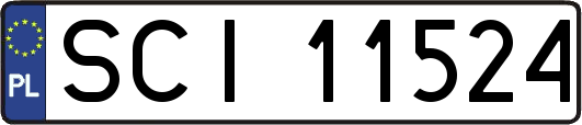 SCI11524