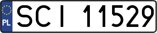 SCI11529