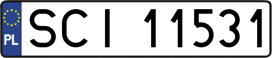SCI11531