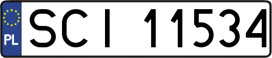 SCI11534