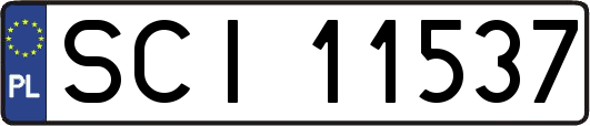 SCI11537