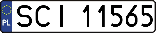 SCI11565