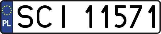 SCI11571
