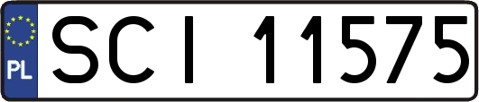 SCI11575