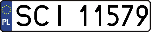 SCI11579