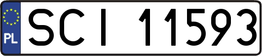 SCI11593