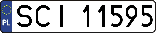 SCI11595
