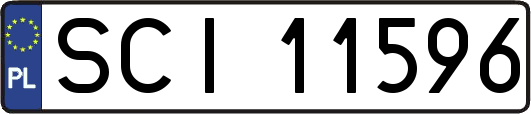 SCI11596