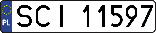 SCI11597