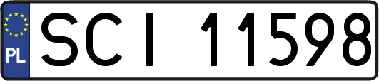 SCI11598