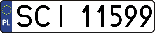 SCI11599
