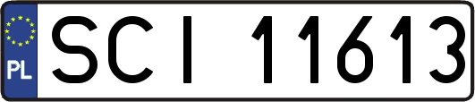 SCI11613