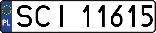 SCI11615