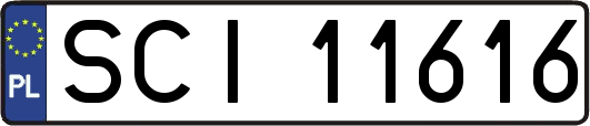 SCI11616