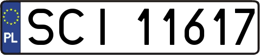 SCI11617