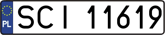 SCI11619