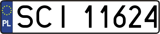 SCI11624