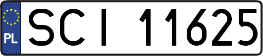 SCI11625