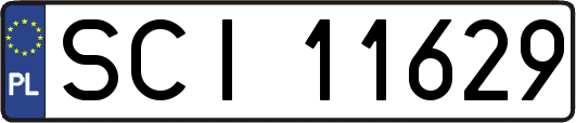 SCI11629