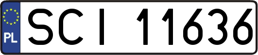 SCI11636