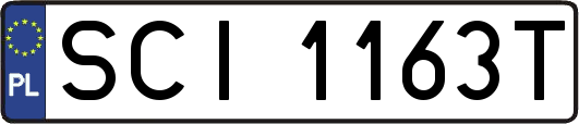 SCI1163T