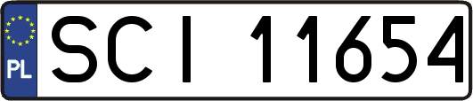 SCI11654