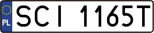SCI1165T