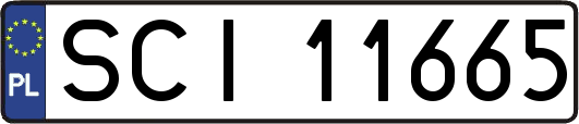 SCI11665
