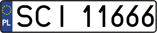 SCI11666