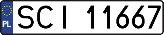 SCI11667