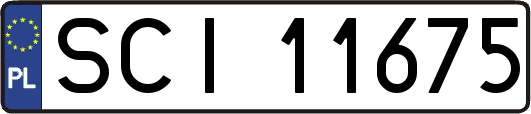 SCI11675