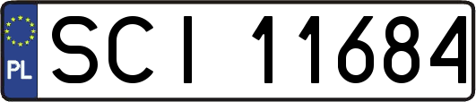 SCI11684