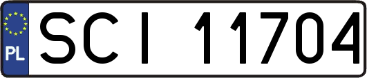 SCI11704