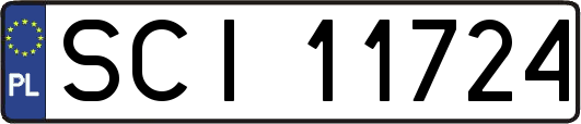 SCI11724