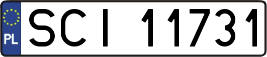 SCI11731