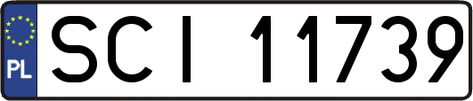 SCI11739