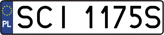 SCI1175S