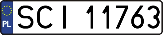 SCI11763