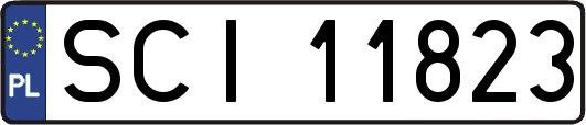 SCI11823