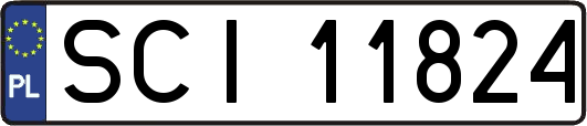 SCI11824