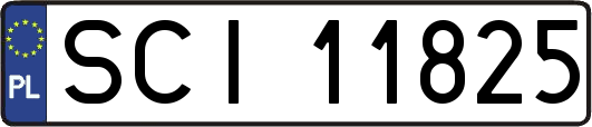 SCI11825