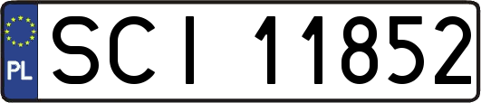 SCI11852