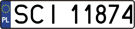 SCI11874